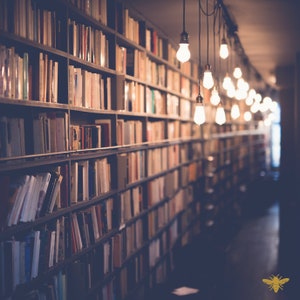 May include: A library with rows of books on shelves, illuminated by hanging light bulbs. The books are of various sizes and colors, creating a warm and inviting atmosphere. The shelves are dark wood, and the floor is a dark color.