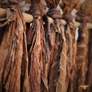 Tobacco and Vanille Tom Ford Fragrance Oil | Hive and Honey | Candle and CP Soap Making Supplies, Melts, Perfume, Diffusers | Phthalate Free