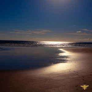 Midnight Tides Fragrance Oil  | Hive and Honey | Candle and CP Soap Making Supplies, Melts, Diffusers | Phthalate Free | Deep Sea Black Sea