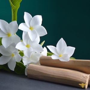 May include: White flowers with yellow centers arranged on top of two brown wooden sticks. The flowers are on a dark gray surface with a green background.