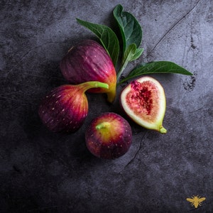 Midnight Fig Fragrance Oil | Hive and Honey | Candle and CP Soap Making Supplies, Melts, Lotion, Perfume, Diffusers | Phthalate Free