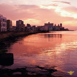 May include: A scenic photograph of a coastal city at sunset. The sky is a blend of pink and orange hues, reflecting on the calm water. Buildings line the shore, creating a silhouette against the colorful sky. The image evokes a sense of tranquility.