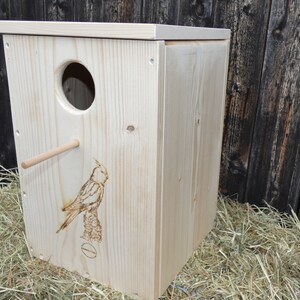 Nympanicet Nest Box image 8