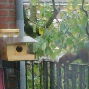 Squirrel sleeping house Kobel feeding house Squirrel Kobel made of spruce wood, handmade in Lower Bavaria. Roof water-resistant screen printing panel image 6