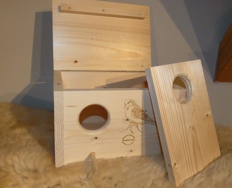 Budgerigar Nest Box image 5