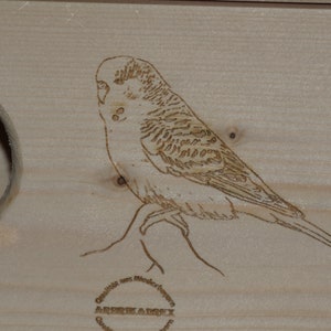 Budgerigar Nest Box image 2