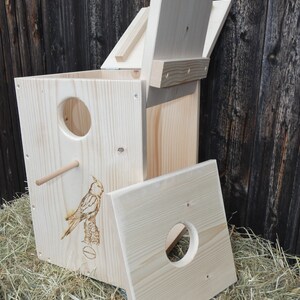 Nympanicet Nest Box image 6