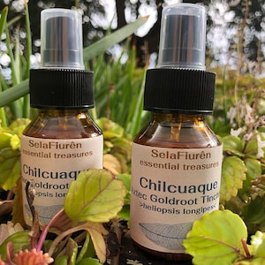 May include: Two amber glass bottles with black spray pumps and clear caps. Each bottle features a beige label with the text SelaFiurên essential treasures, Chilcuaque, Aztec Goldroot Tincture, and Heliopsis longipes, accompanied by a leaf illustration.