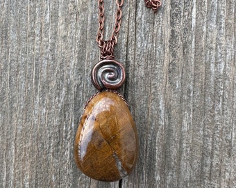 Petrified Wood Necklace for Transformation and Releasing Negativity. Swirl Signifies Consciousness.