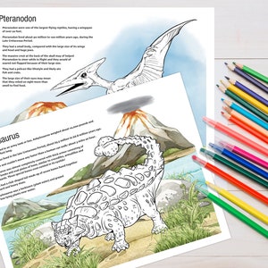 14 x 11 ingekleurde informatiebladen dinosaurussen, NIET-BEWERKBAAR, 10 verschillende dinosaurusbladen, T-Rex, stegosaurus, velociraptor, digitale download