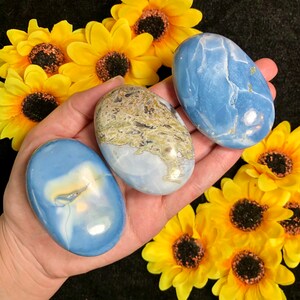 Rare Owyhee Opal palm from Oregon - You Pick! - genuine crystal, metaphysical properties