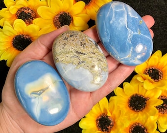 Rare Owyhee Opal palm from Oregon - You Pick! - genuine crystal, metaphysical properties