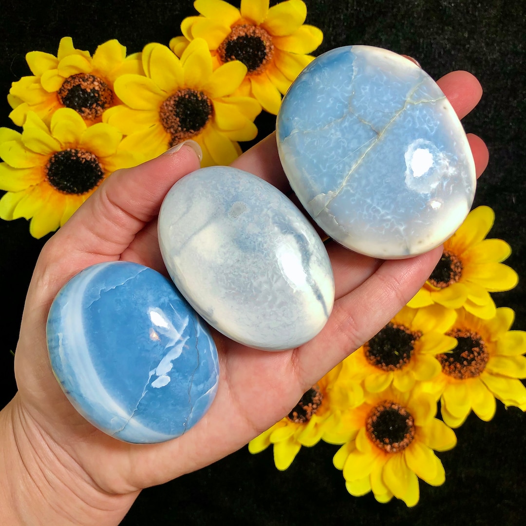 Rare Owyhee Opal Palm From Oregon You Pick Genuine Crystal