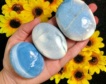 Rare Owyhee Opal Palm from Oregon - You Pick! - genuine crystal, metaphysical properties