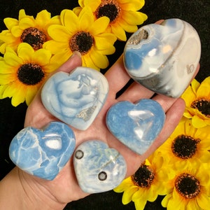 Rare Owyhee Opal Heart from Oregon - You Pick! - genuine crystal, metaphysical properties