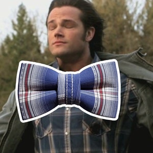 May include: A blue and white plaid bow tie with red accents. The bow tie is tied and ready to wear.