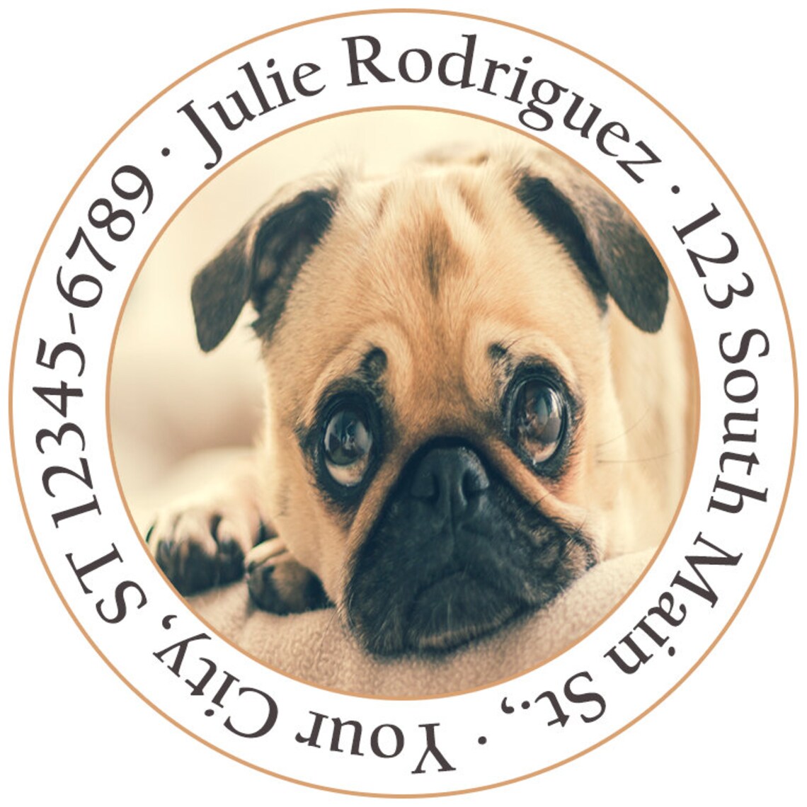 60 Pug Dog Puppy Cute Doggy Personalized Return Address Labels Etsy