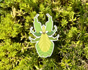 Giant Malaysian Leaf Insect Sticker