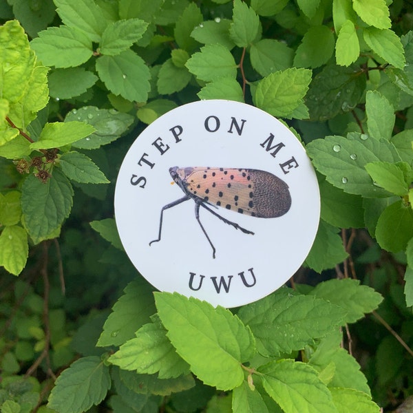 Lifesized Spotted Lanternfly Step On Me Sticker