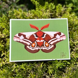 Impression de carte postale de papillon empereur du chou