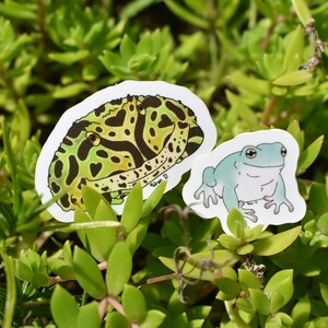 Cute Mini Frog Stickers (MATTE 2 PACK)