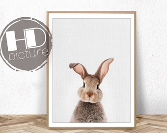 Rabbit//Bunny Poster //Carrot Garden//Colorful Animal Poster//Print// 16x20 inch