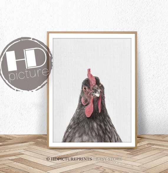 Chicken Decor Farm Animal Print Farmhouse Printable Rooster Etsy