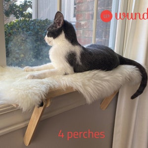 4 Cat Window Perches | Cat Shelf | Window Sill | No Tools Installation | No Nails Needed | Installed and Removed in 1 minute