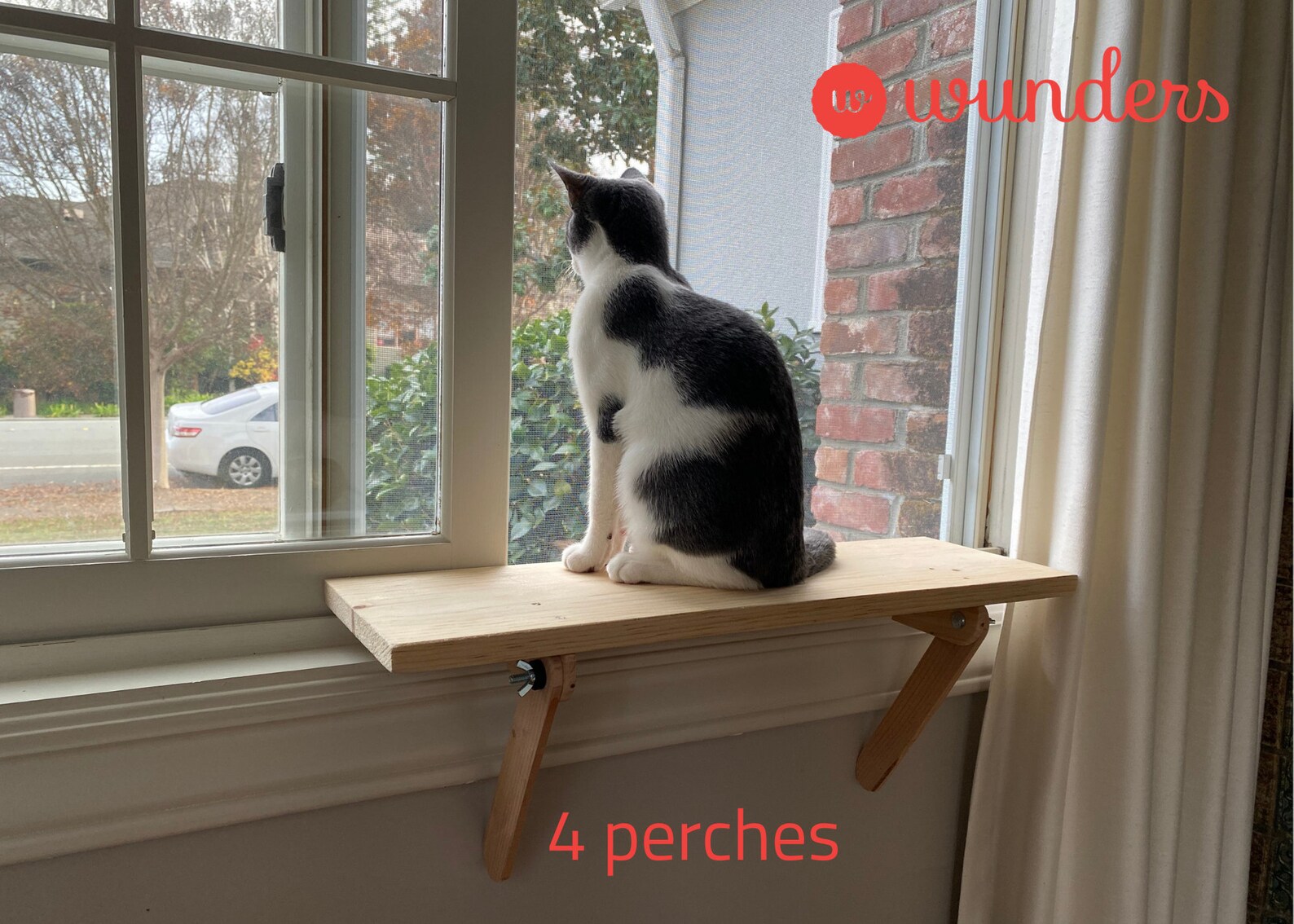 4 Cat Window Perches Cat Shelf Window Sill No Tools Etsy