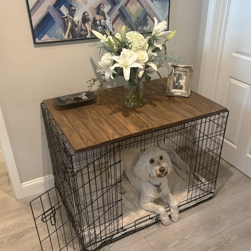 Curated visual reference: Visual Reference: Dog Crate End Cover