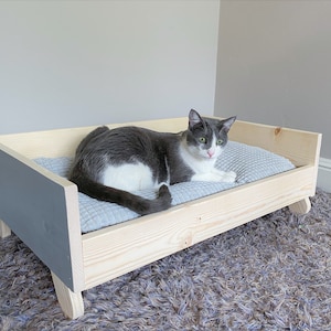 Cat Lola lying comfortably on wooden cat bed