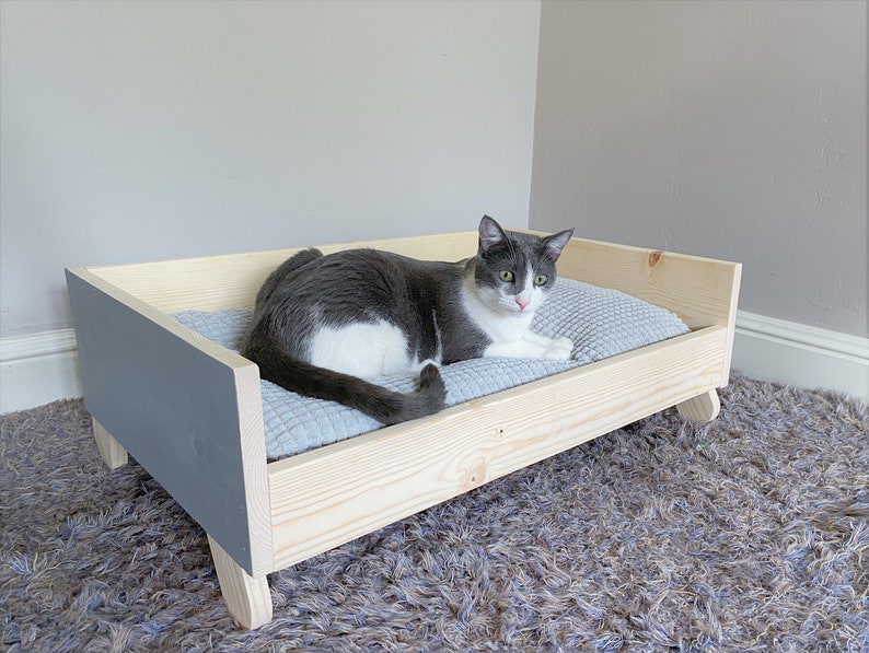 Cat Lola lying comfortably on wooden cat bed