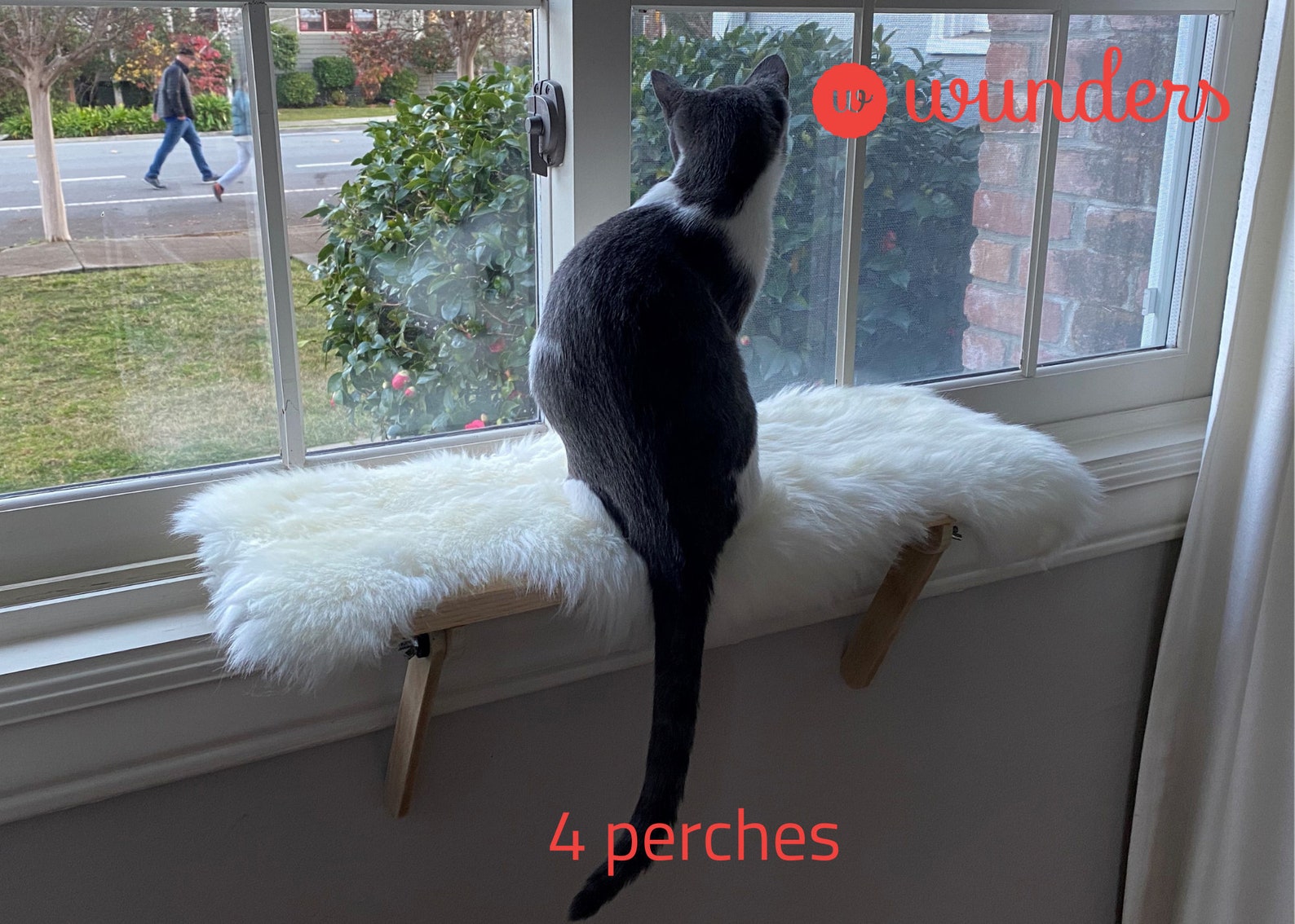 4 Cat Window Perches Cat Shelf Window Sill No Tools Etsy