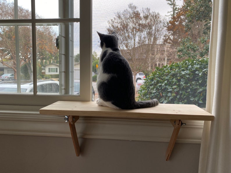 Cat Window Perch Cat Shelf Window Sill No Tools Installation No Nails Needed Natural Pine Wood