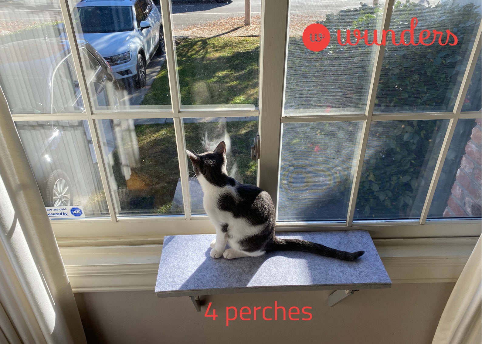 4 Cat Window Perches Cat Shelf Window Sill No Tools Etsy