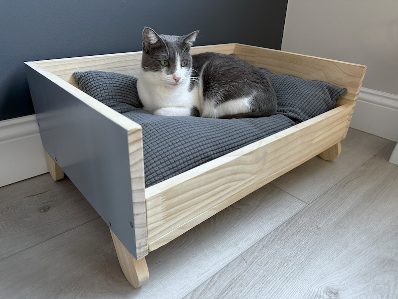 Cat Lola lying comfortably on wooden cat bed, photo taken at 45 degree angle