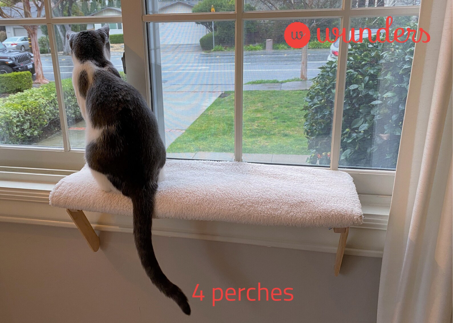 4 Cat Window Perches Cat Shelf Window Sill No Tools Etsy