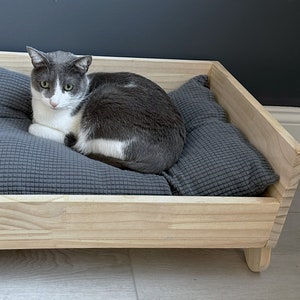 Close-up of cat Lola lying comfortably on wooden cat bed