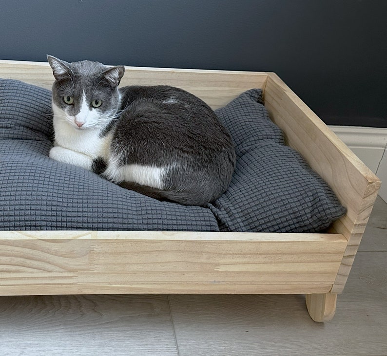 Close-up of cat Lola lying comfortably on wooden cat bed