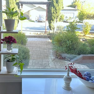 May include: A white wooden shelf unit with three shelves, each holding a potted plant. The top shelf has a green plant, the middle shelf has a bouquet of red flowers, and the bottom shelf has a green plant with trailing vines. The shelf unit is mounted on a white wall next to a window.