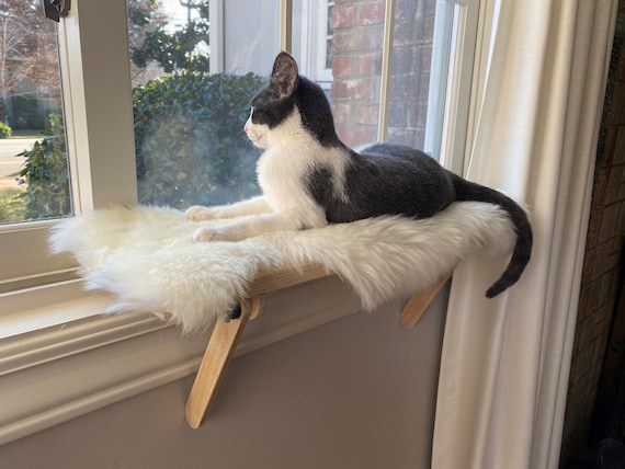Cat Window Perch Cat Shelf Window Sill No Tools Installation No Nails  Needed 