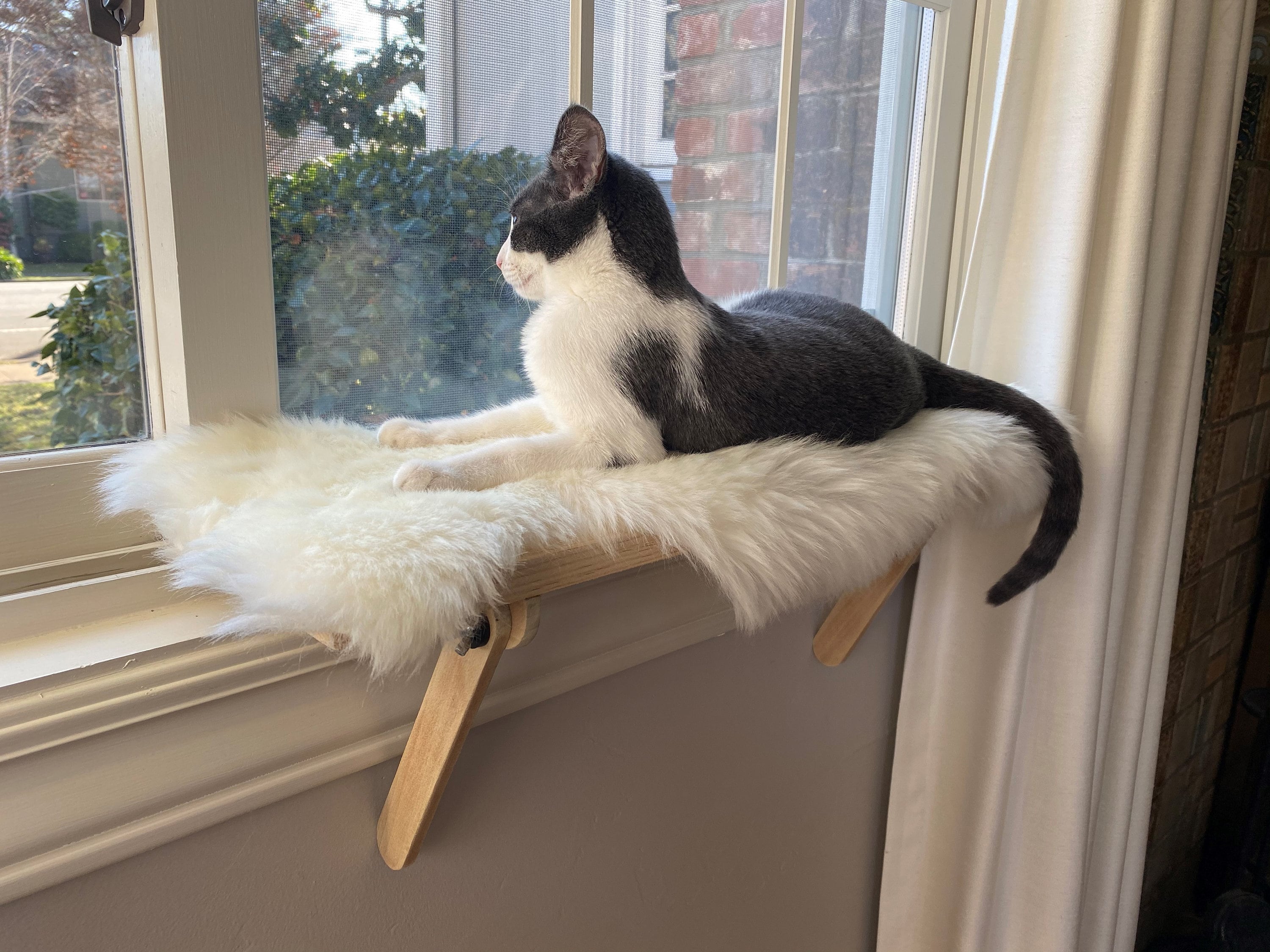 Cat Window Perch Cat Shelf Window Sill No Tools Installation No Nails  Needed -  Canada