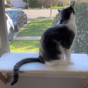 Cat Window Perch Cat Shelf Window Sill No Tools Installation No Nails Needed Soft Plush Mat