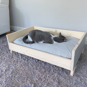 Cat Lola in a deep sleep on wooden cat bed