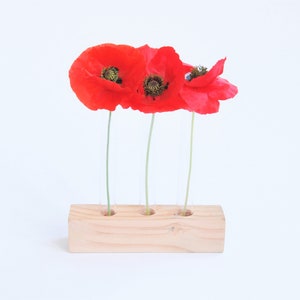 Reclaimed Wood Test Tube Vase: Propagation Station Table Decor