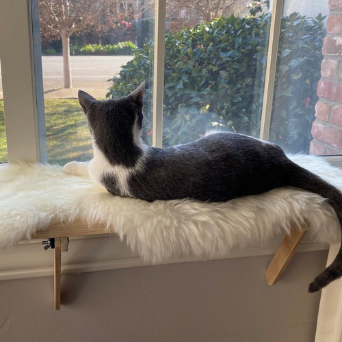 cat window sill bed
