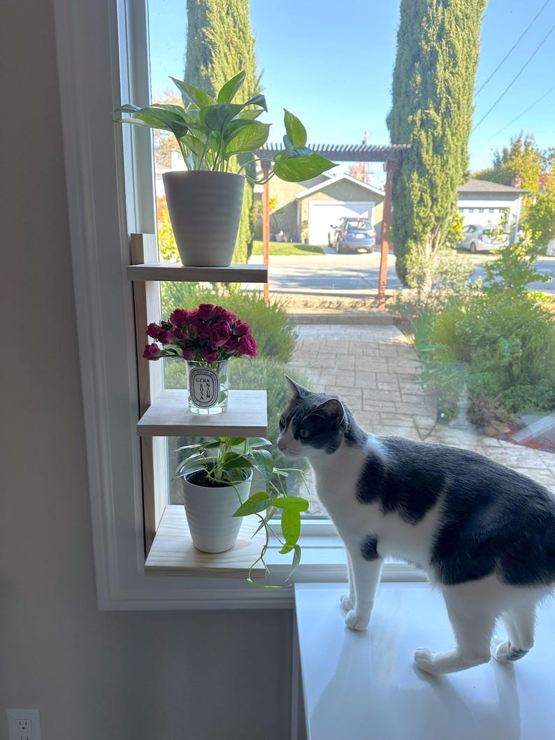 May include: A white cat with black markings sits on a white countertop next to a window. A wooden shelf with three plants is mounted on the window frame. The plants include a green leafy plant, a bouquet of red flowers, and a small green plant in a white pot.