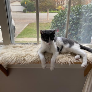 Cat Window Perch | Cat Shelf | Window Sill | No Tools Installation | No Nails Needed | Genuine Sheepskin | Installed and Removed in 1 minute