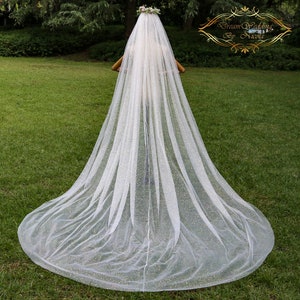 Luminous cathedral veil Champagne Wedding Veil Fairy Bridal veil Flashing Super Long Veil Shining Cathedral veil Delicate Wedding Veil VJF09