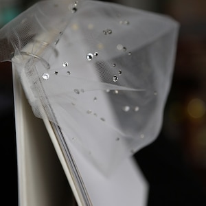Crystal Birdcage Veil: Tulle Bandeau Bridal Veil